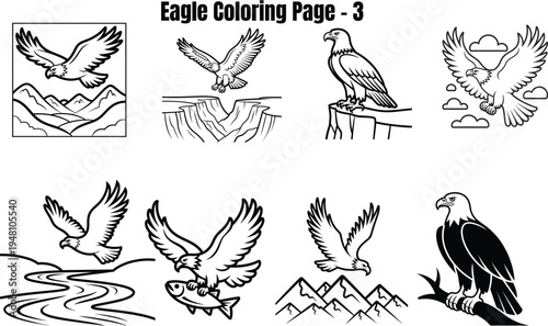 Eagle in various poses and settings eagles bird birds