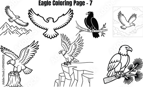 Eagle for coloring book page eagles birds flying perched