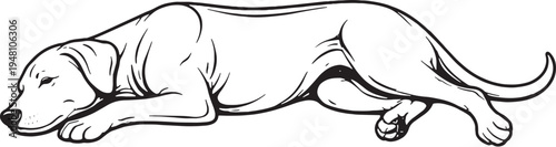 Rhodesian Ridgeback Sleeping on Side Relaxed Black and White Line Art Vector