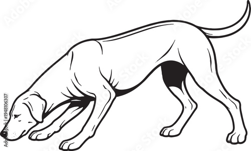 Rhodesian Ridgeback Sniff Tracking Nose Down Black and White Line Art Vector