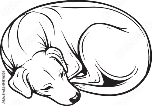 Rhodesian Ridgeback Sleeping Curled Donut Top View Black and White Line Art Vector