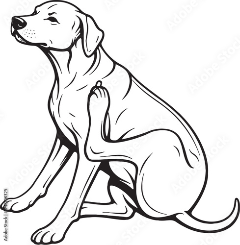 Rhodesian Ridgeback Sitting Scratching Ear Black and White Line Art Vector