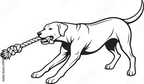 Rhodesian Ridgeback Tugging Rope Side View Black and White Line Art Vector