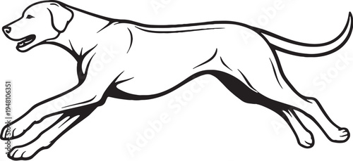 Rhodesian Ridgeback Running Sprint Side View Black and White Line Art Vector