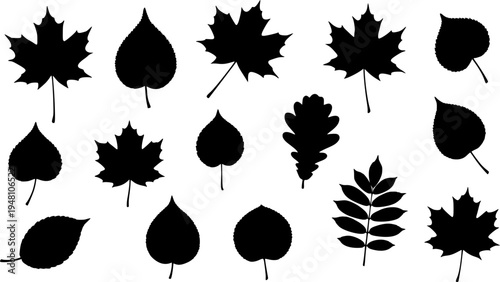 set of autumn leaves silhouette vector on white background