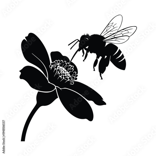 A bee pollinating a stylized black and white flower