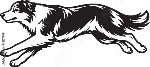 Australian Shepherd Running Sprint Side View Black and White Line Art Vector