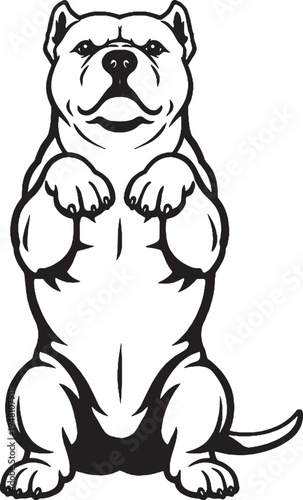 American Bully Sitting Beg Pose Front View Black and White Line Art Illustration