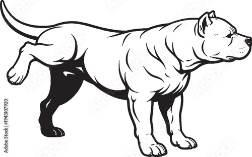 American Bully Marking Territory Leg Lift Side View Black and White Line Art Illustration