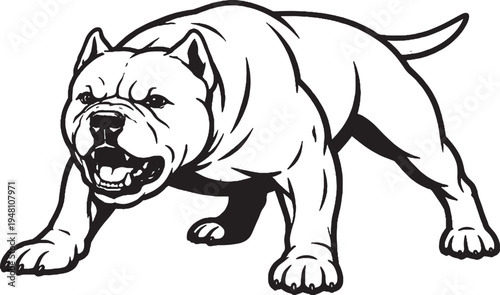 American Bully Growling Low Guard Stance Black and White Line Art Illustration