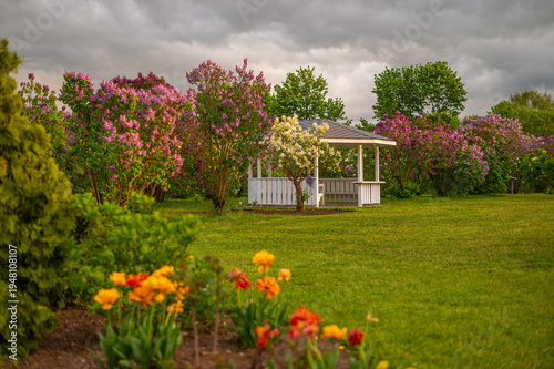 Foto Dobeles cireni park in Latvia in spring