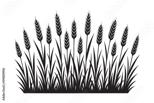 Ripe cereal wheat spikes silhouette for bakery and farm branding. Organic bread grain harvest icon vector.