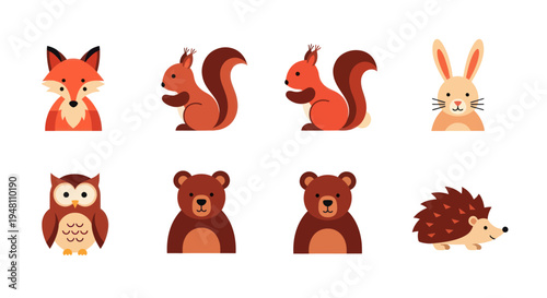 Colorful assortment of fresh tropical fruits