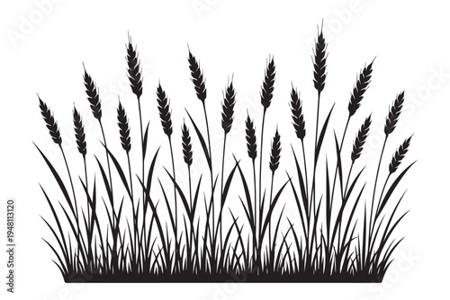 Ripe cereal wheat spikes silhouette for bakery and farm branding. Organic bread grain harvest icon vector.