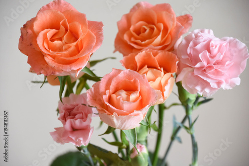 Bild auf Leinwand 薔薇とカーネーション