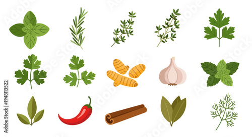 Fresh herbs and spices collection