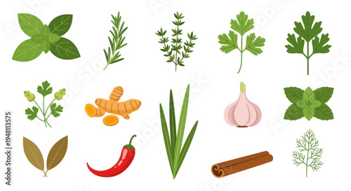 Fresh herbs and spices collection