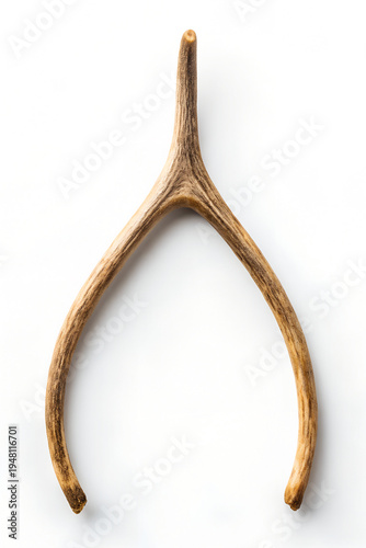 Wishbone, rustic style, isolated on white background for good luck concept
