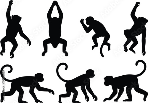 Monkey silhouette action poses. Primate jumping, hanging, running and walking positions. Wild jungle monkey movement vector illustration set.