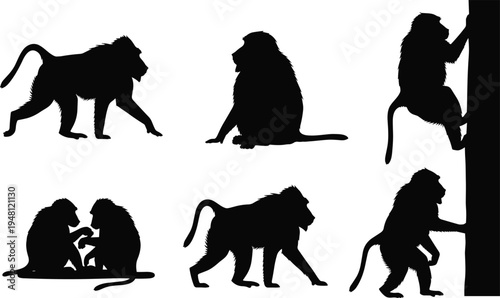 Mandrill monkey silhouette set. African primate walking, sitting, grooming and climbing poses. Wild jungle baboon wildlife vector illustration collection.