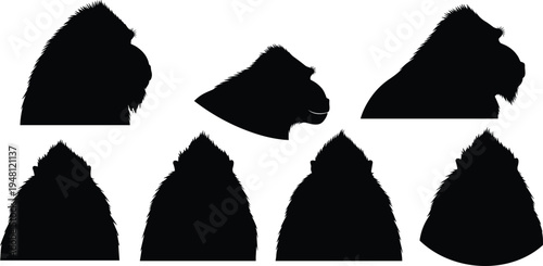 Mandrill head silhouette set. African baboon primate face profiles and front views. Wildlife monkey head icons vector collection.