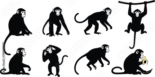Monkey silhouette set. Cute primate poses collection with sitting, climbing, jumping and eating banana. Cartoon monkey animals isolated vector illustration pack.