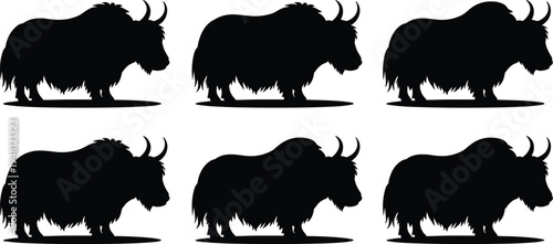 Yak silhouette collection. Hairy horned mountain yak standing poses. Wild and domestic bovine livestock animals isolated, yak vector illustration pack.
