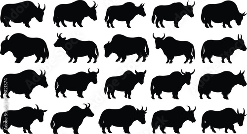 Zebu cattle silhouette collection. Humped bull and cow walking and standing poses. Tropical farm livestock animals isolated, zebu bovine vector set.