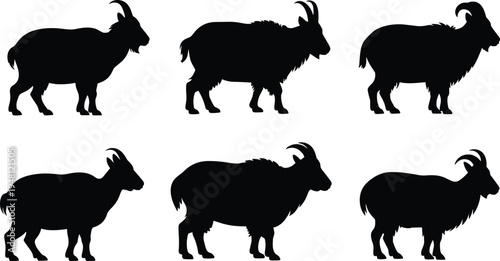 Mountain goat silhouette set. Wild horned goat standing poses collection. Black alpine goat animals isolated, wildlife mammal vector illustration pack.