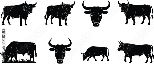 Bull and cow silhouettes set. Farm cattle grazing and standing poses collection. Horned livestock animals isolated, agriculture vector illustration pack.