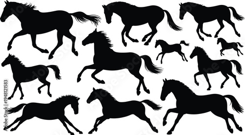 Horse silhouette set. Running, jumping and trotting stallion poses. Black equine animals collection isolated, wild horse movement vector pack.