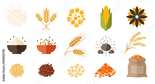 Various cereal grains and seeds illustration