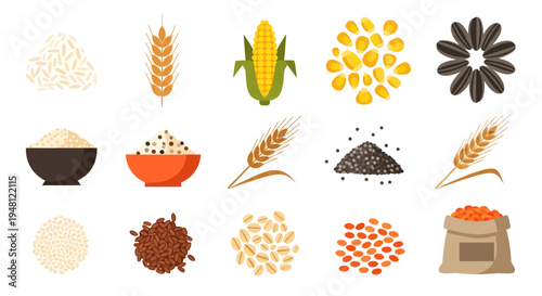 Various grains and seeds isolated on white
