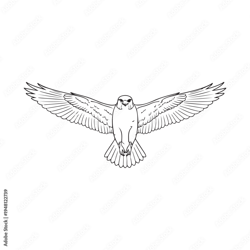 Obraz premium A drawing of two birds with their wings spread