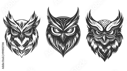 Three stylized, monochromatic owl head illustrations, featuring textured details, set against a white backdrop