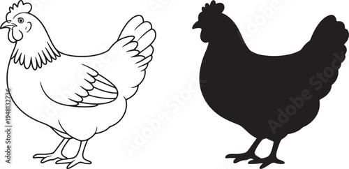 Simple line and black silhouette of a hen standing on white background chicken bird