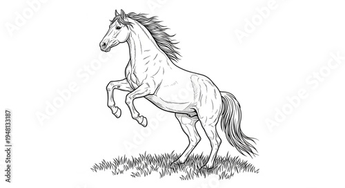 Majestic Horse Rearing Up in a Grassy Field Illustration.