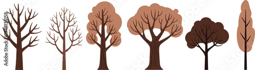 Set of six brown vector trees and leafless winter branches isolated on white background for autumn nature design forest landscape and botanical illustration.