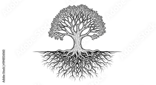 Tree with Exposed Roots Illustration.