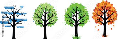 Vector illustration of a single tree in four seasons including winter snow spring blossoms summer green foliage and autumn orange leaves isolated on white.