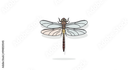 Simple vector illustration of a dragonfly with translucent wings on a white background.