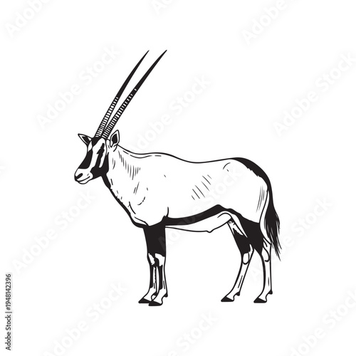 A drawing of an animal with long horns