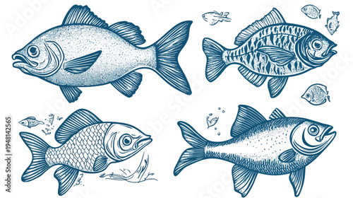 Four fish illustrations in various styles, blue ink on a white background, representing aquatic life