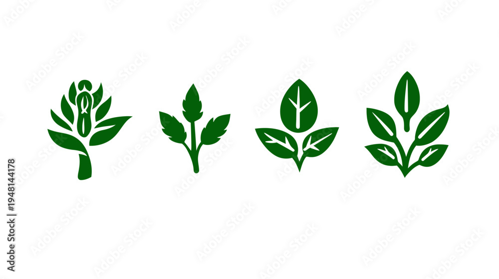 Fototapeta premium Four stylized botanical illustrations featuring green foliage on a white background