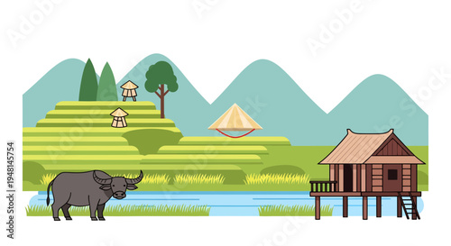 Rice Paddy Landscape Image, Vector Illustration, Asian Culture, Farming, Rural Scene
