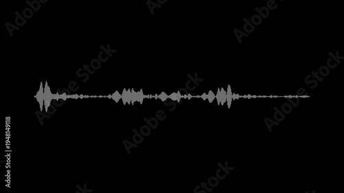 Abstract audio sound visualiser wave spectrum animation on black background, white line audio wave visualisation, voice record effect for overlay, sound wave spectrum concept, 4k video
