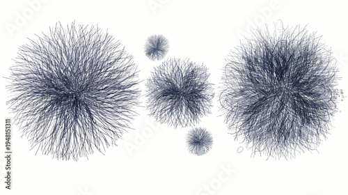 Abstract ink illustration of several spherical plant-like forms in varying sizes against a white background