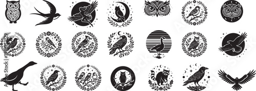 Bird and Owl Silhouette Vector Bundle with Moon Stars Wreath Frames Flying Birds and Nature Wildlife Illustration Set