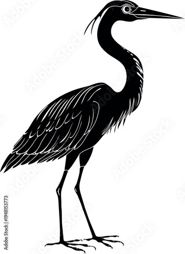 Black silhouette of grey heron (Ardea cinerea) isolated on white backgroundgrey heron, ardea cinerea, heron, ardea, wading, bird, ardeidae, animal, fauna, large bird, predator, neck, background, drawi