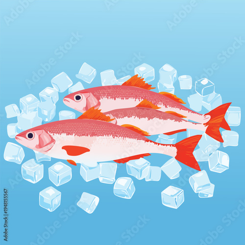 Three pink fish resting on ice cubes against a gradient blue background